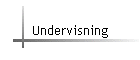 Undervisning